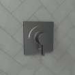 Hansgrohe Ecostat Square Pressure Balance Trim In Brushed Black Chrome, 15724341
