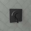 Hansgrohe Ecostat Square Pressure Balance Trim In Matte Black, 15724671