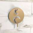 Hansgrohe Ecostat S Thermostatic Trim With Volume Control In Brushed Bronze, 15757141