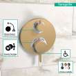 Hansgrohe Ecostat S Thermostatic Trim With Volume Control In Brushed Bronze, 15757141