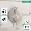 Hansgrohe Ecostat S Thermostatic Trim With Volume Control In Brushed Nickel, 15757821