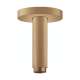Hansgrohe Raindance E Extension Pipe For Ceiling Mount In Brushed Bronze, 27393141