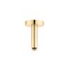 Hansgrohe Raindance E Extension Pipe For Ceiling Mount In Brushed Gold Optic, 27393251