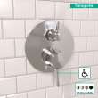 Hansgrohe Ecostat Classic Pressure Balance Trim With Diverter