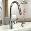 Hansgrohe Focus Higharc Kitchen Faucet