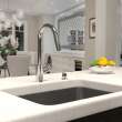 Hansgrohe Focus Higharc Kitchen Faucet