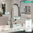 Hansgrohe Joleena Higharc Kitchen Faucet, 2-Spray Pull-Down, 1.75 Gpm In Chrome, 4793000