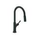 Hansgrohe Locarno Higharc Kitchen Faucet, 2-Spray Pull-Down, 1.75 Gpm In Matte Black, 4852670