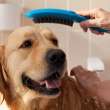 Hansgrohe Dog Shower Dog Shower Bundle, 3-Spray, 1.75 Gpm In Sky, 4974540