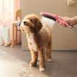 Hansgrohe Dog Shower Dog Shower Bundle, 3-Spray, 1.75 Gpm In Pink, 4974560