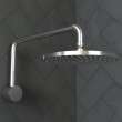 Hansgrohe Raindance Showerarm