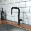 Hansgrohe Talis N Kitchen Faucet, U-Style 1-Spray, 1.75 Gpm In Matte Black, 72806671
