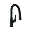 Hansgrohe Talis S Prep Kitchen Faucet, 2-Spray Pull-Down, 1.75 Gpm In Matte Black, 72815671