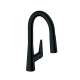 Hansgrohe Talis S Prep Kitchen Faucet, 2-Spray Pull-Down, 1.75 Gpm In Matte Black, 72815671