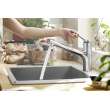 Hansgrohe Zesis Kitchen Faucet 2-Spray