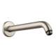 27412821 Raindance 10in Shower Arm with Escutcheon Plate in Brushed Nickel