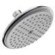04343000 Raindance E 2 GPM Shower Head in Chrome