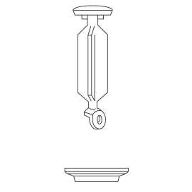 Plug and Seat, Non-Metallic Drain Assembly in Polished Brass