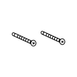 Torx Head Screws for Posi-Temp and Moentrol Escutcheons in Chrome