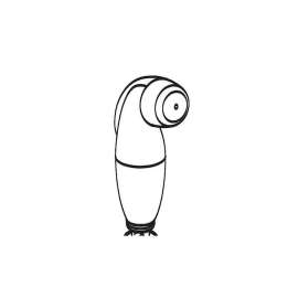 Spray Head And Hose Assembly