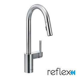 Align Single Pull-Down Kitchen Faucet