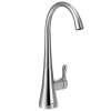 One-Handle Cold Water Only Beverage Faucet in Chrome