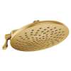 1.75 GPM Two-Function Diameter Spray Head Round Eco-Performance Rainshower in Brushed Gold