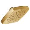 2.5 GPM Single Function Spray Head Rainshower in Brushed Gold