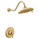 Single Handle Posi-Temp Pressure Balanced Multi-Function Shower Trim with Eco-Performance Shower Head in Brushed Gold