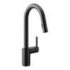 Align 7565BL Matte Black One-Handle Pulldown Kitchen Faucet