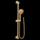 3667EPBG Brushed Gold Eco-Performance Handshower