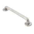Home Care R8716P Peened 16-in Concealed Screw Grab Bar
