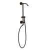 Oil Rubbed Bronze Shower Only