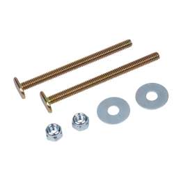 053205 5/16 in. X 2 1/4 in. Brass Toilet Flange Bolt Set with Brass Bolts