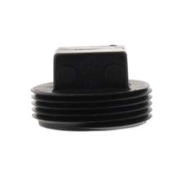 2in MIPT ABS Plug