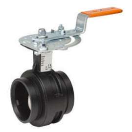 Butterfly Valve 5
