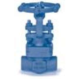 Gate Valve 3/4