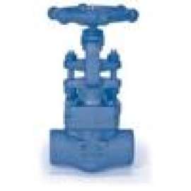 Globe Valve 1