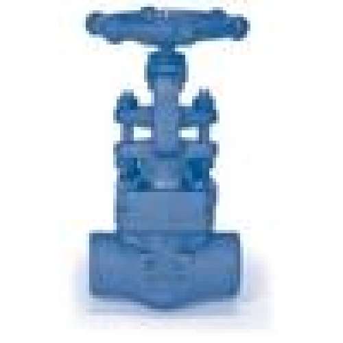 Globe Valve 2
