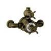 Perrin and Rowe U.5552X-EB Exposed Thermostatic Shower Valve Trim in English Bronze