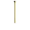 24in Ceiling Mounted Arm in Inca Brass