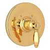 Thermostatic Trim Plate with Hex Metal Lever and without Volume Control in Italian Brass