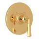 Thermostatic Trim Plate with Metal Lever and without Volume Control in Italian Brass