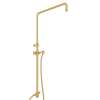 Riser with Diverter, Hose and Sliding Handshower Holder in Italian Brass