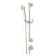 Palladian Handshower Set in Polished Nickel