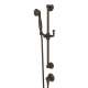 Palladian Handshower Set in Tuscan Brass