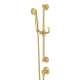 Palladian Handshower Set in Italian Brass