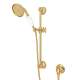 1300EIB Single-Function Anti-Cal Handshower/Hose/Bar/Outlet Set in Italian Brass