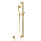 36-in Decorative Grab Bar Set with Single-Function Anti-Cal Handshower/Hose/Outlet in Italian Brass