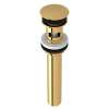 Slotted Touch Seal Dome Drain with 6-in Tailpiece in Italian Brass